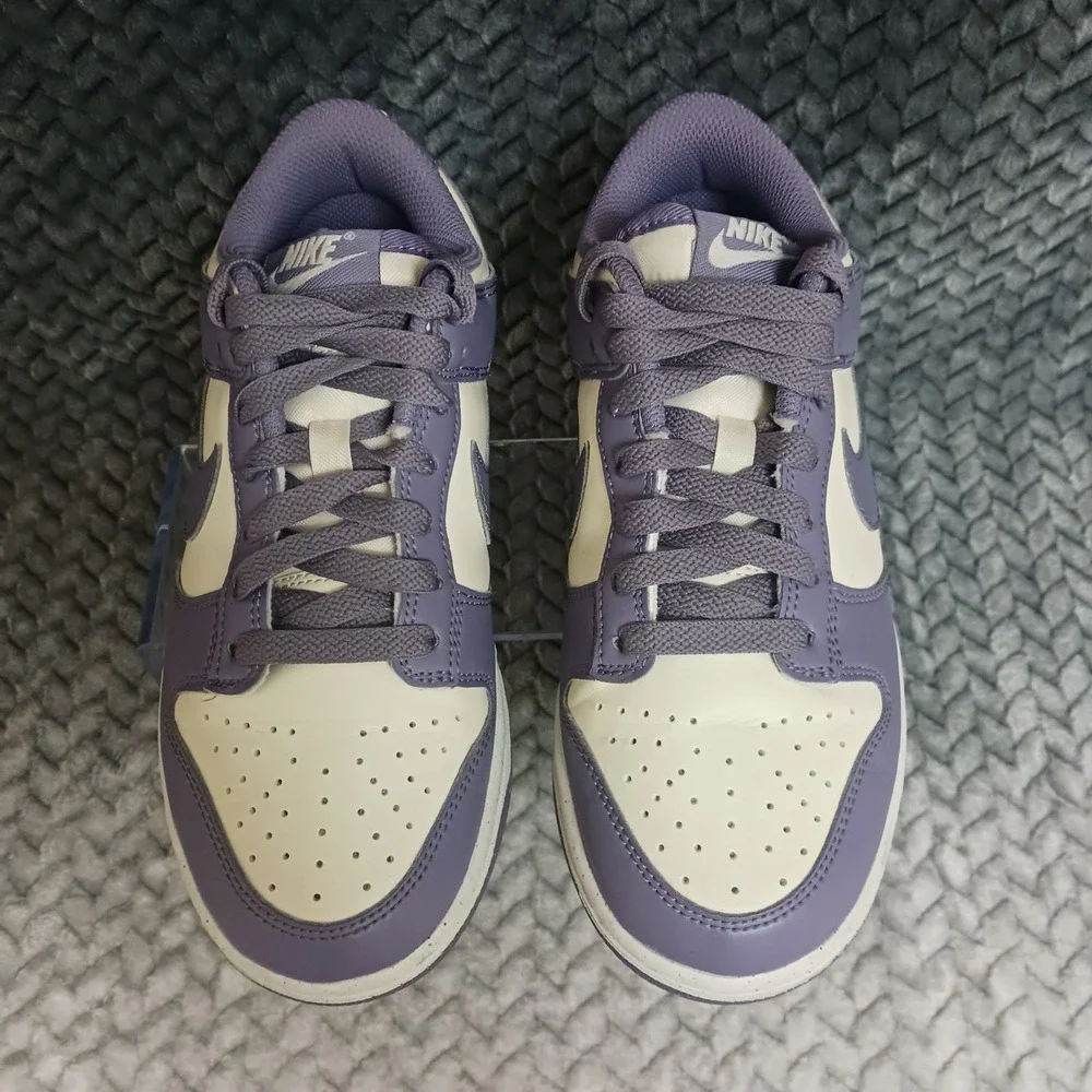 Nike Dunk Low Next Nature Daybreak Women's Sneakers Shoes FZ4349-100 Size 5.5